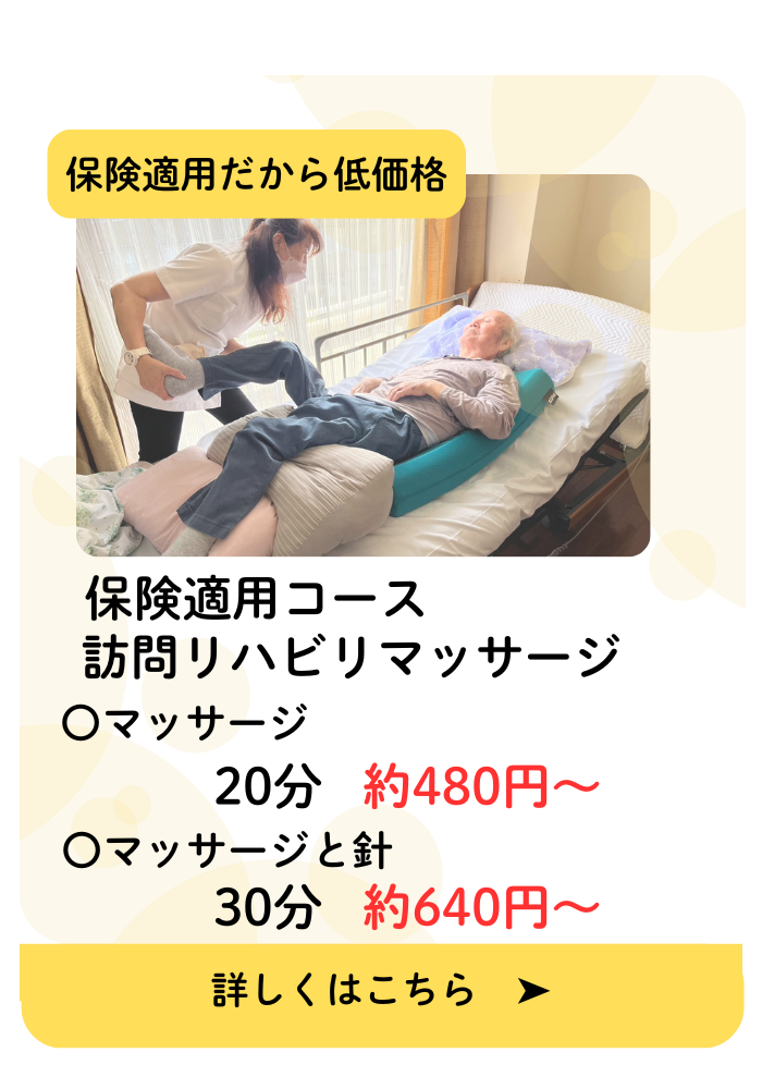 保険適用コース (1)